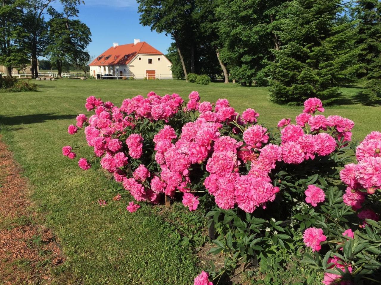 Ontika Boutique Guesthouse Dış mekan fotoğraf